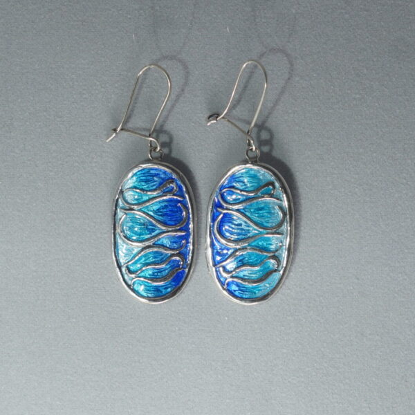 silver earrings