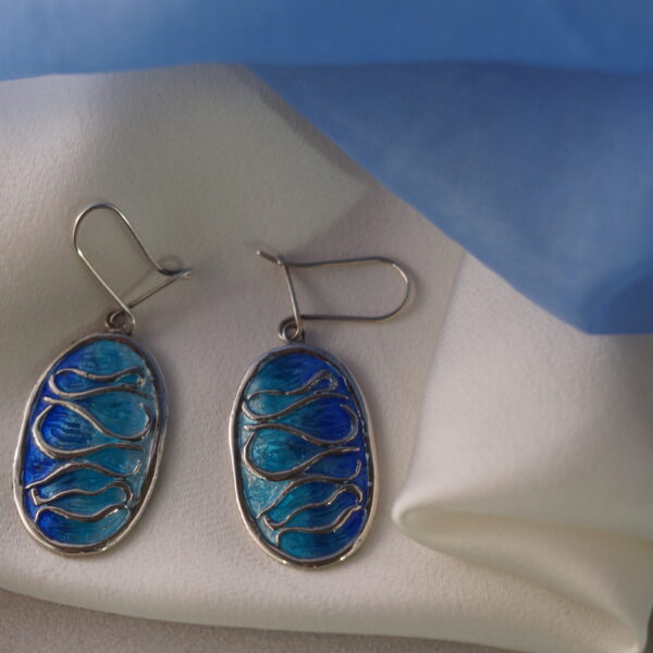 silver earrings