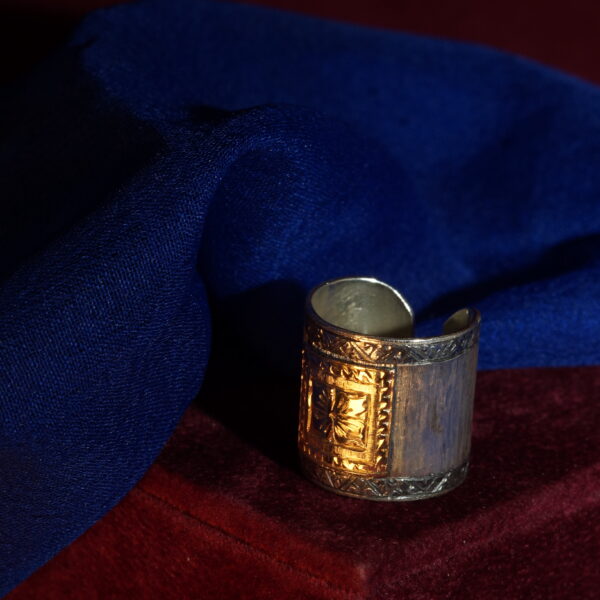 silver and gold ring