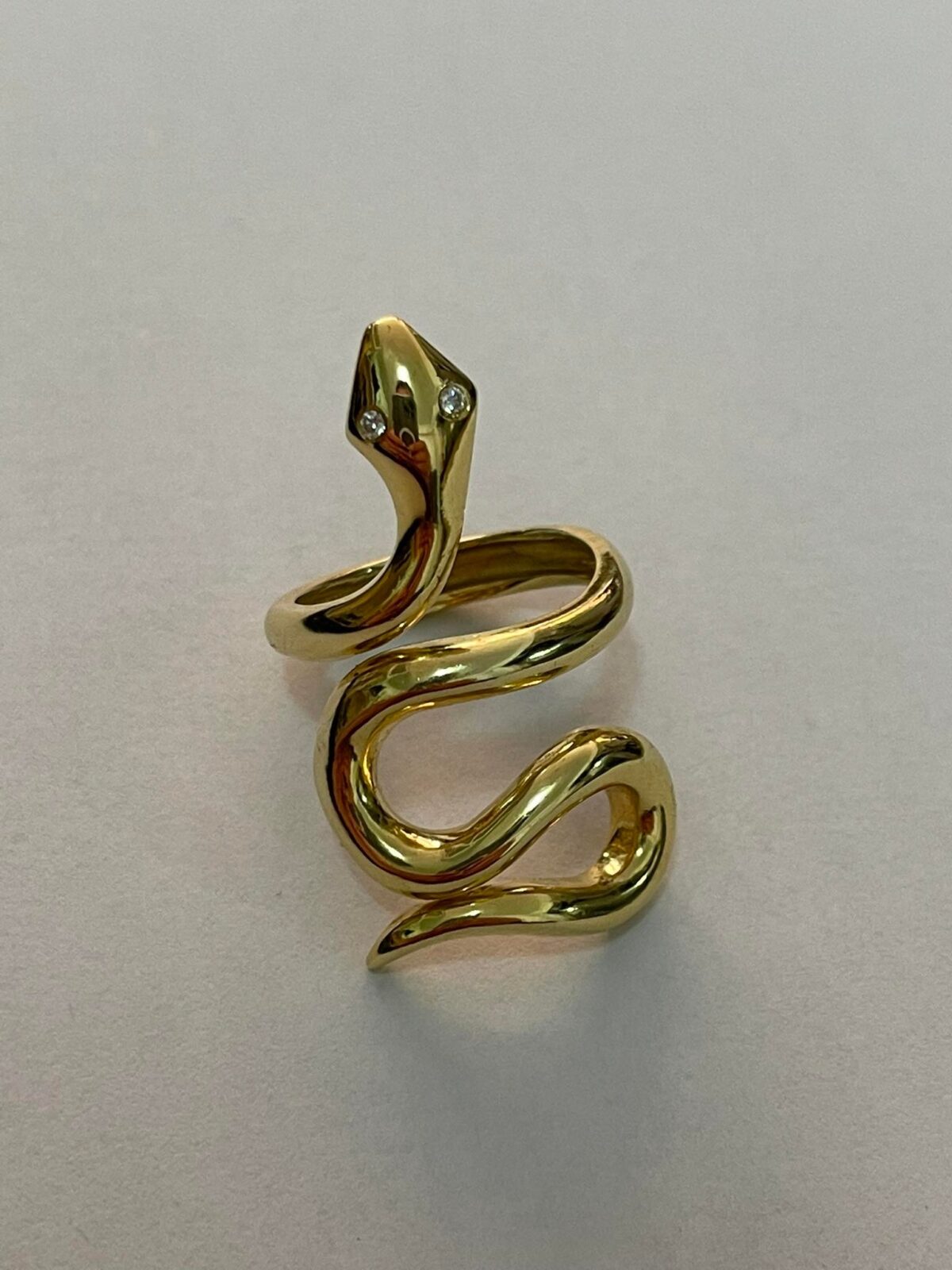 288201004_1773389906327474_8032799726286329057_n Snake ring - Image 1