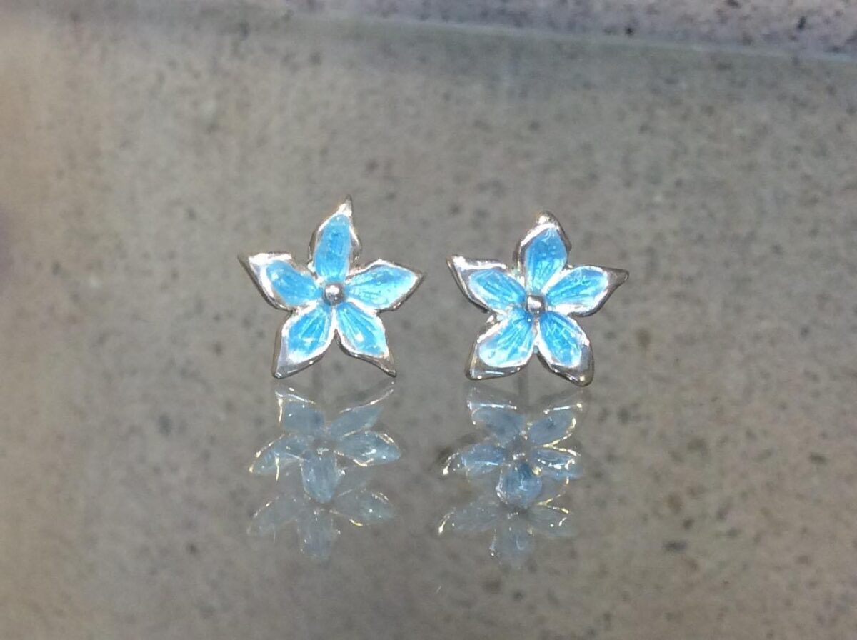 2FFBDF26-E025-4DC7-87C6-406C000A6160 Blue flower - Image 1